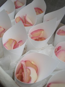 Confetti Cones filled with Freese Dried Rose Petals